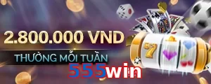 555win