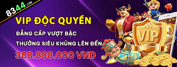 555win