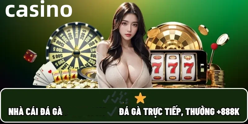 555win