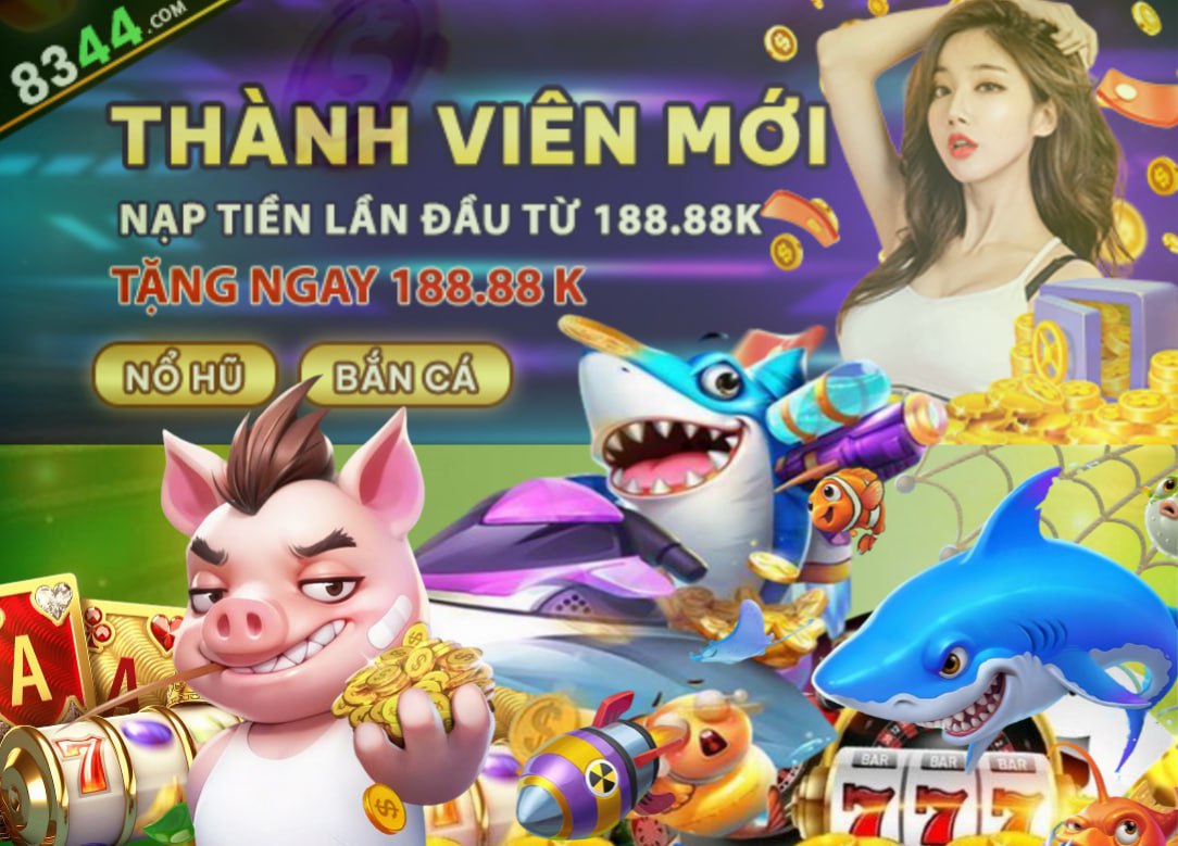 555win
