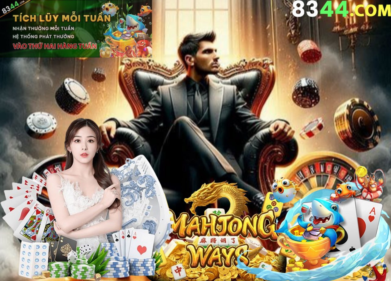555win