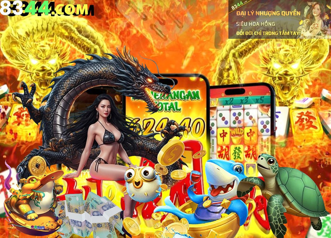 555win