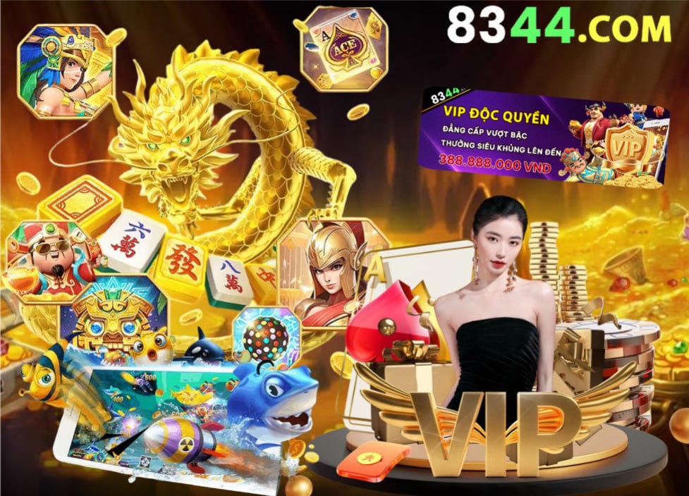 555win